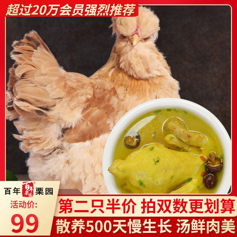 重庆油鸡老母鸡1kg